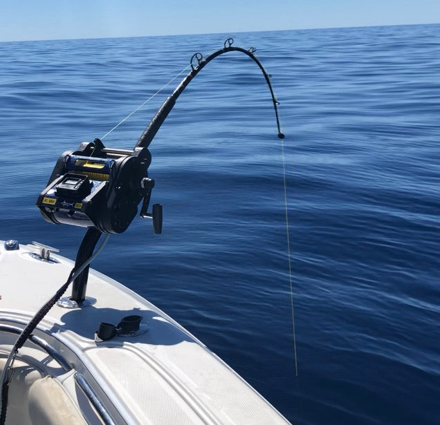 best rod and reel for grouper fishing Grouper Groper – Check'n Bottom Outfitters LLC